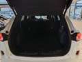 Ford Kuga 2.5 PHEV 225cv 2wd cvt ST-LINE Blanco - thumbnail 6