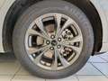 Ford Kuga 2.5 PHEV 225cv 2wd cvt ST-LINE Wit - thumbnail 12