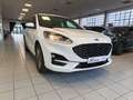 Ford Kuga 2.5 PHEV 225cv 2wd cvt ST-LINE Blanco - thumbnail 8