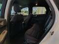 Ford Kuga 2.5 PHEV 225cv 2wd cvt ST-LINE Wit - thumbnail 5
