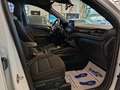 Ford Kuga 2.5 PHEV 225cv 2wd cvt ST-LINE Wit - thumbnail 14