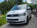 Volkswagen T5 Multivan Multivan Edition 25 Austria 2,0 BiTDI 4Mot. DPF DSG Edition 25 Austria Weiß - thumbnail 1