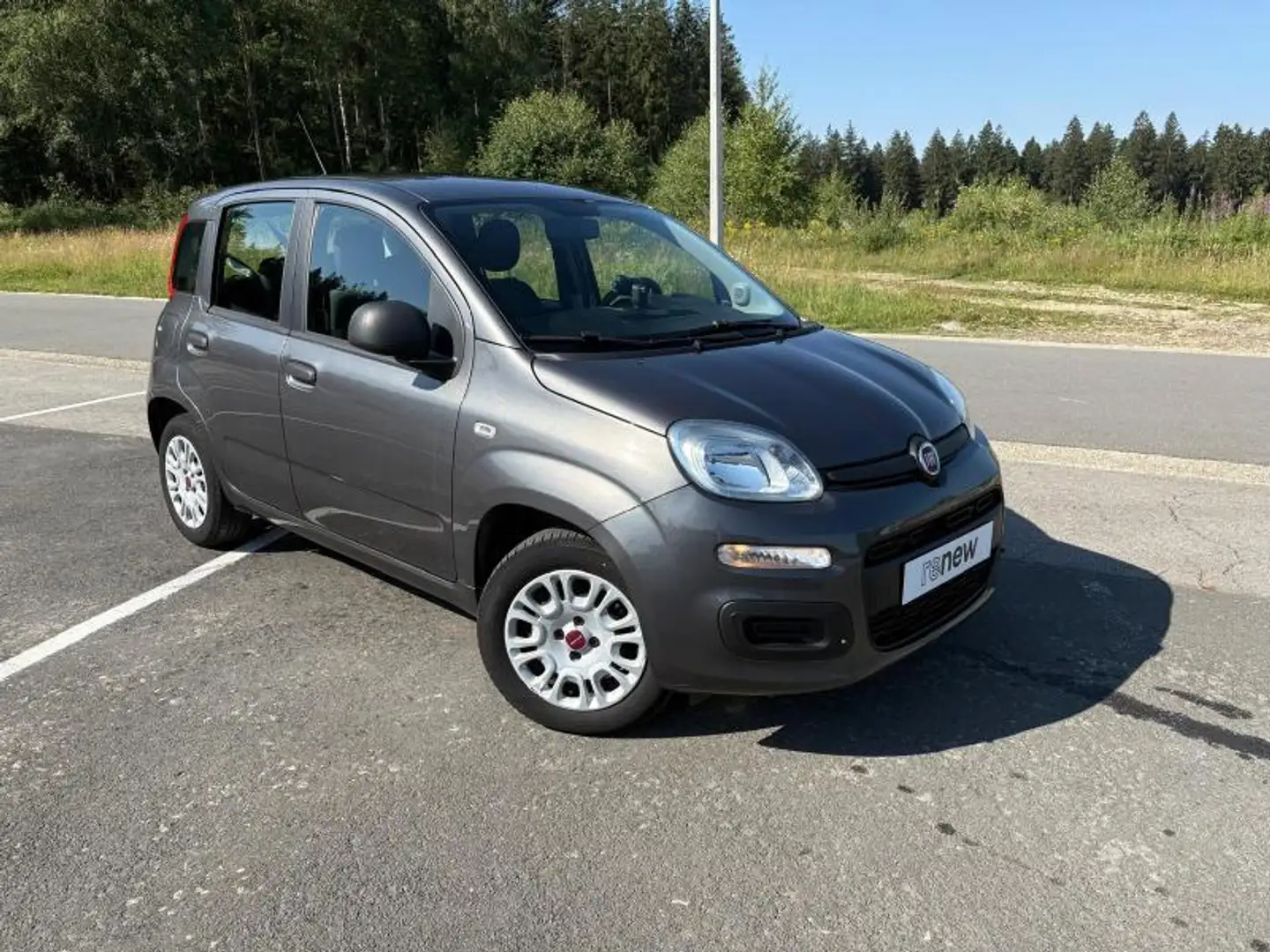 Fiat Panda Easy Gris - 1