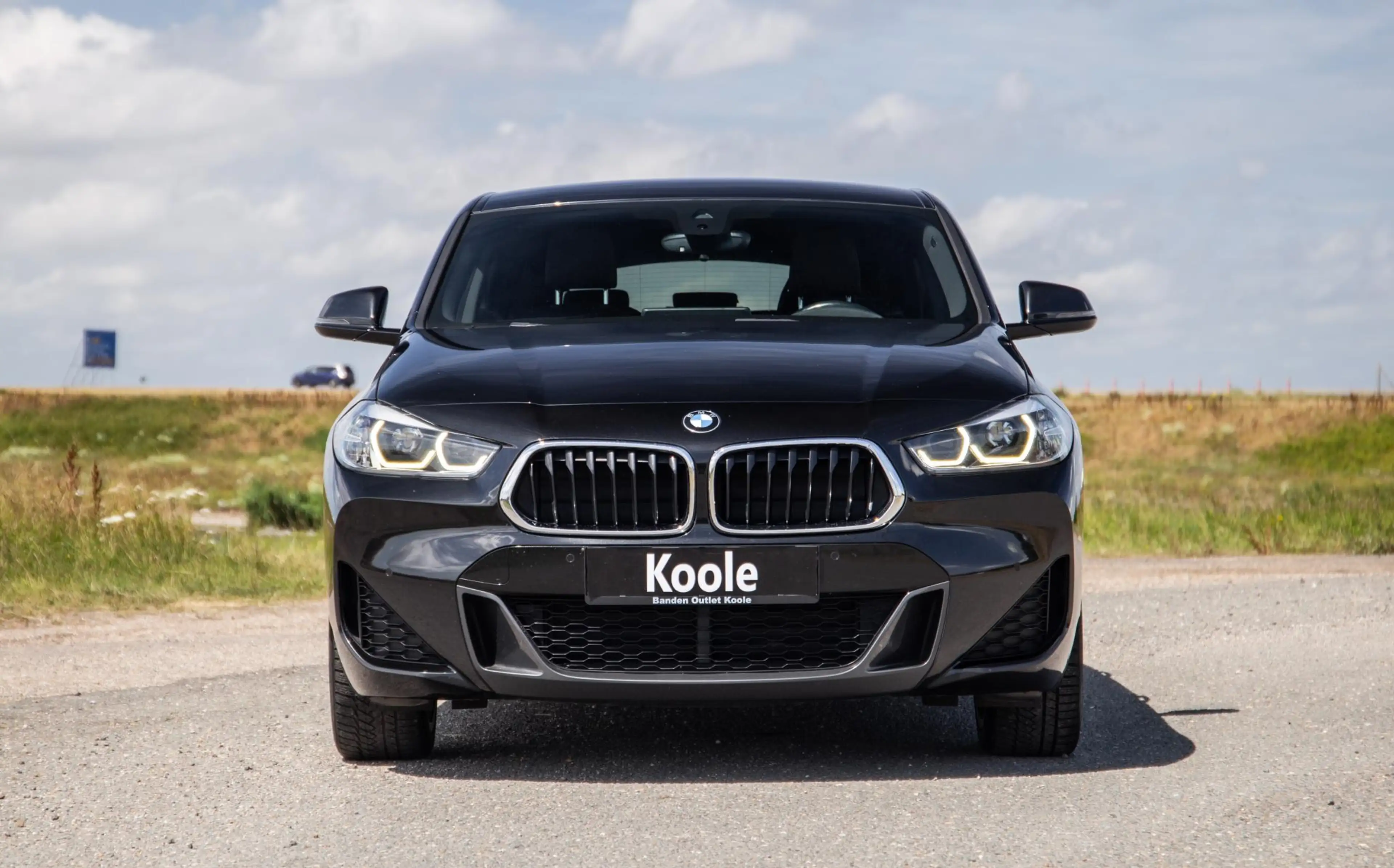 BMW X2 xDrive25e High Executive M PAKKET / CARPLAY / CRUI — photo 2