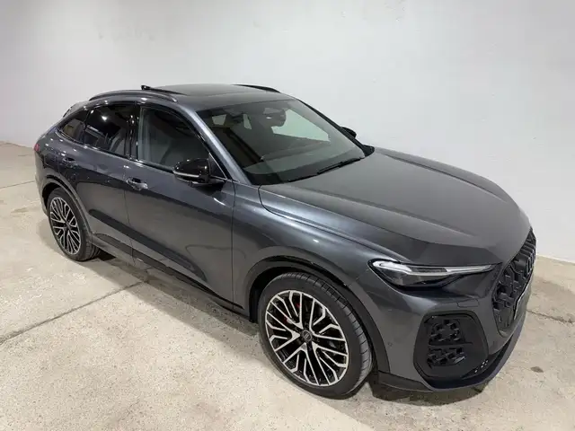 Audi SQ5 view 8