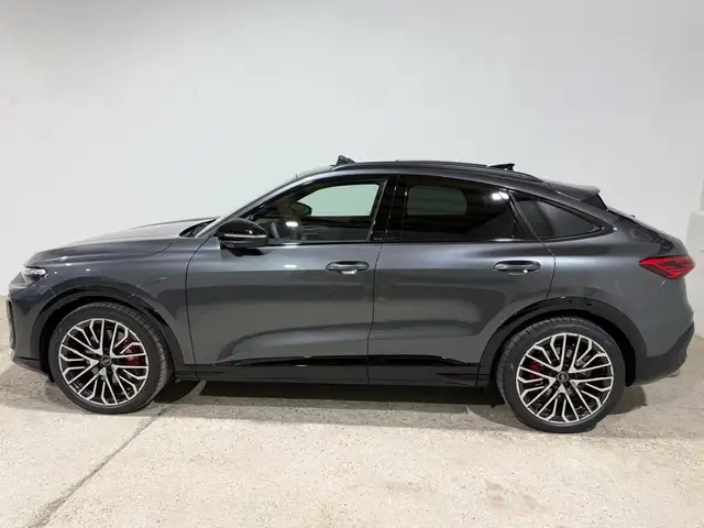 Audi SQ5 view 11
