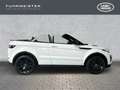 Land Rover Range Rover Evoque Cabriolet HSE Dynamic Sportpaket Navi Leder Memory Bianco - thumbnail 6