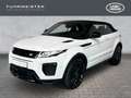 Land Rover Range Rover Evoque Cabriolet HSE Dynamic Sportpaket Navi Leder Memory Bianco - thumbnail 19