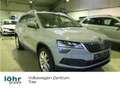 Skoda Karoq 2.0 TDI 4x4 Style Amundsen, AHK Gris - thumbnail 1
