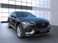 Jaguar F-Pace D300 R-Dynamic HSE AWD Schiebed./Massage Gris - thumbnail 18