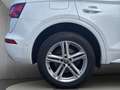 Audi Q5 2,0 TDI quattro sport S-tronic Wit - thumbnail 31