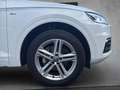 Audi Q5 2,0 TDI quattro sport S-tronic Wit - thumbnail 29