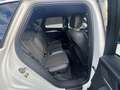 Audi Q5 2,0 TDI quattro sport S-tronic Wit - thumbnail 22