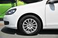 Volkswagen Golf Cabrio 1.2 TSI BMT Sitzheizung* Tempo* 16 Blanc - thumbnail 30