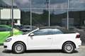 Volkswagen Golf Cabrio 1.2 TSI BMT Sitzheizung* Tempo* 16 Blanc - thumbnail 20