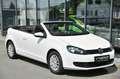 Volkswagen Golf Cabrio 1.2 TSI BMT Sitzheizung* Tempo* 16 Blanc - thumbnail 3