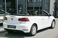 Volkswagen Golf Cabrio 1.2 TSI BMT Sitzheizung* Tempo* 16 Blanc - thumbnail 4