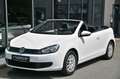 Volkswagen Golf Cabrio 1.2 TSI BMT Sitzheizung* Tempo* 16 Blanc - thumbnail 2