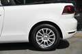 Volkswagen Golf Cabrio 1.2 TSI BMT Sitzheizung* Tempo* 16 Blanc - thumbnail 31