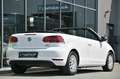 Volkswagen Golf Cabrio 1.2 TSI BMT Sitzheizung* Tempo* 16 Blanc - thumbnail 27