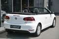 Volkswagen Golf Cabrio 1.2 TSI BMT Sitzheizung* Tempo* 16 Blanc - thumbnail 25