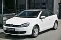 Volkswagen Golf Cabrio 1.2 TSI BMT Sitzheizung* Tempo* 16 Blanc - thumbnail 19
