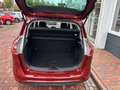 Ford B-Max B-MAX 1.6 Aut. Individual, Leder, wenig KM! Rot - thumbnail 10