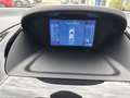 Ford B-Max B-MAX 1.6 Aut. Individual, Leder, wenig KM! Rot - thumbnail 16