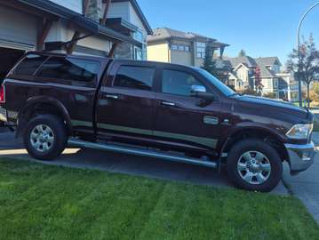 Laramie Longhorn