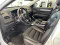 Renault Koleos INITIALE PARIS dCi 175 PS 4WD X-tronic Blanc - thumbnail 35