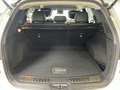 Renault Koleos INITIALE PARIS dCi 175 PS 4WD X-tronic Blanc - thumbnail 28