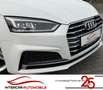 Audi A5 quattro sport 3.0 TDI V6 S-line |LED|HUD|AHK| Biały - thumbnail 14
