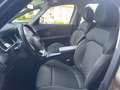 Renault Scenic Scénic dCi 8V 110 CV Energy Zen Bronzo - thumbnail 10