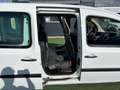 Renault Kangoo Cabine Approfondie 5 places (8.325 HT) 1.5 dCi 90ch Grand Confort Weiß - thumbnail 9