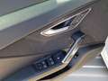 Audi Q2 35 TFSI 2x S line AHK virtual NAVI Opt-schw+ Weiß - thumbnail 21