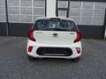 Kia Picanto Picanto 1.0 ISG Edition 7 Wit - thumbnail 5