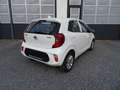 Kia Picanto Picanto 1.0 ISG Edition 7 Wit - thumbnail 4