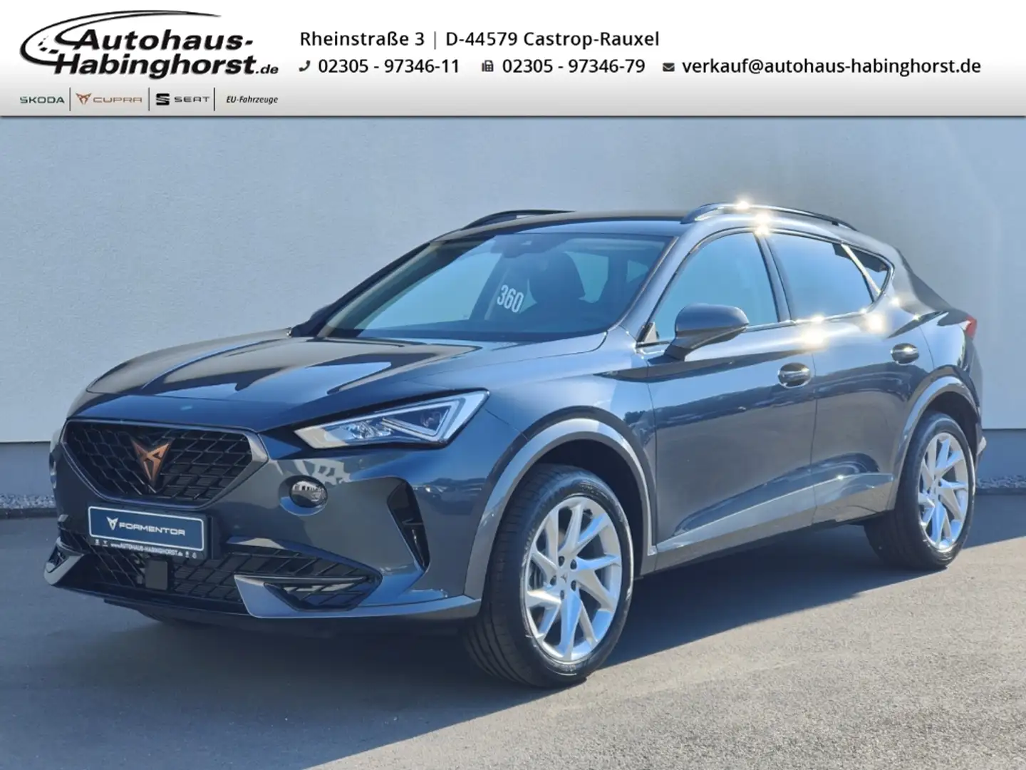 CUPRA Formentor 1.5 TSI DSG ACC Navi PDC Kamera Klima Winter 18Alu Grau - 1