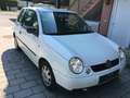 Volkswagen Lupo Lupo 1,0 Weiß - thumbnail 3