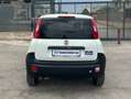 Fiat New Panda VAN 1.2 BENZ 2 POSTI POP - 2018 Blanco - thumbnail 4