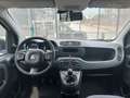 Fiat New Panda VAN 1.2 BENZ 2 POSTI POP - 2018 Blanco - thumbnail 10
