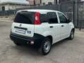 Fiat New Panda VAN 1.2 BENZ 2 POSTI POP - 2018 Blanco - thumbnail 3