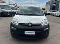 Fiat New Panda VAN 1.2 BENZ 2 POSTI POP - 2018 Blanco - thumbnail 8