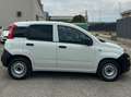 Fiat New Panda VAN 1.2 BENZ 2 POSTI POP - 2018 Blanco - thumbnail 2