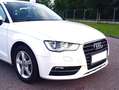 Audi A3 A3 SB Start 1,6 TDI DPF Start Weiß - thumbnail 7