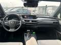 Lexus UX 250h Hybrid Luxury Line*Nachlackierungsfrei Grau - thumbnail 10