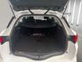 Renault Megane S.T. 1.5dCi Blue Zen EDC 85kW Blanco - thumbnail 21