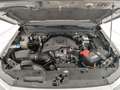 Volkswagen Amarok 3.0 tdi v6 style 4motion auto Bianco - thumbnail 15
