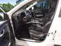 Renault Kadjar (O) Zen Blue dCi 110kW (150CV) 4x4 Blanco - thumbnail 7