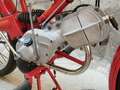 Moto Guzzi Інші Motoleggera Guzzino 65cc Червоний - thumbnail 5